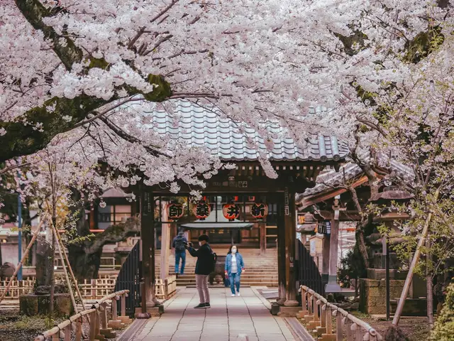 Jepang Muslim Family Spring